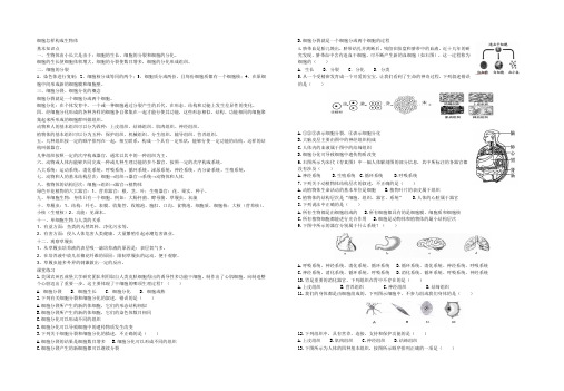 细胞怎样构成生物体