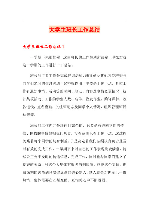 大学生班长工作总结