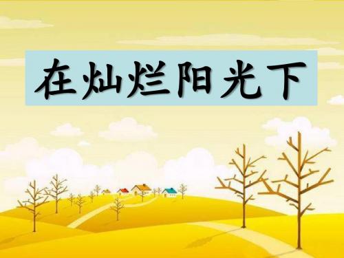 《在灿烂阳光下》PPT课件 (共34张PPT)