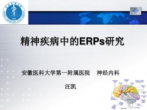精神疾病中的erps研究ppt课件
