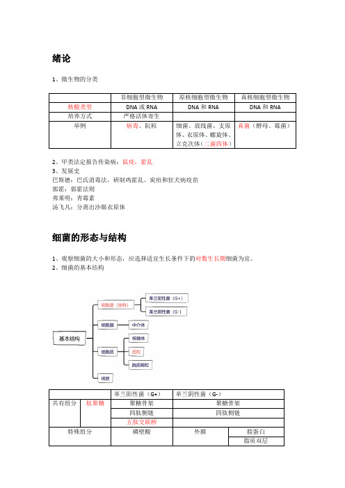 微生物学知识点总结