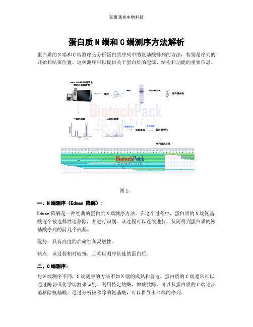 蛋白质N端和C端测序方法解析