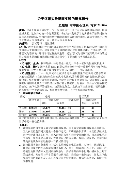 关于迷津实验镜画实验的研究报告