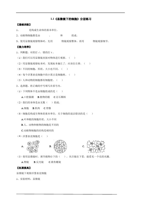 《显微镜下的细胞》(含答案)