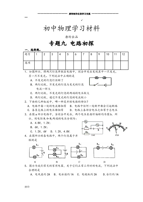 苏科版九年级物理下册专题九电路初探.docx