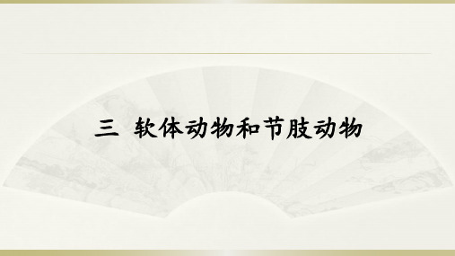 人教版八年级上册5.1.3《软体动物和节肢动物》课件(16张ppt )