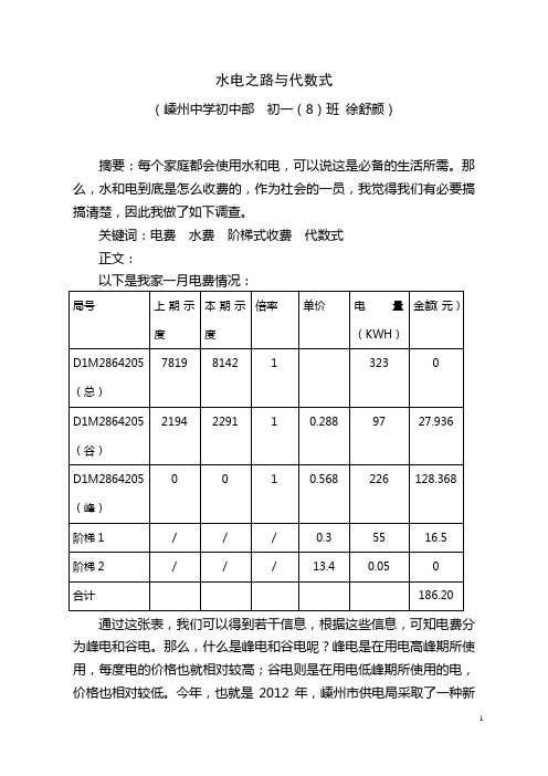 水电之路与代数式 小论文