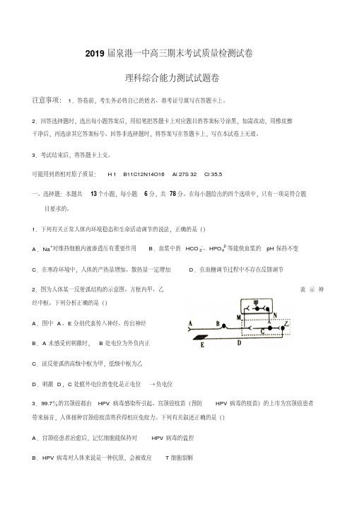 2019届泉港一中高三期末考试质量检测试卷理科综合测试试卷