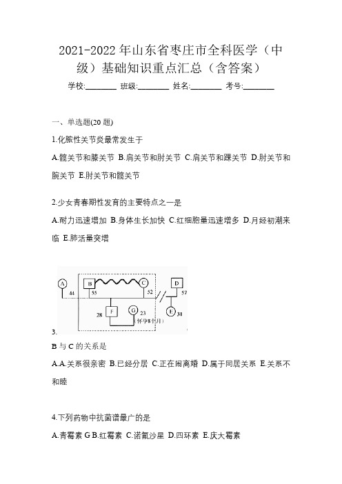 2021-2022年山东省枣庄市全科医学(中级)基础知识重点汇总(含答案)