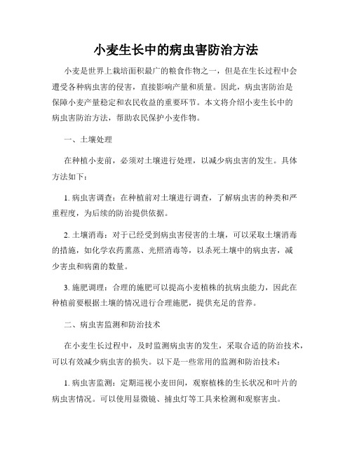 小麦生长中的病虫害防治方法