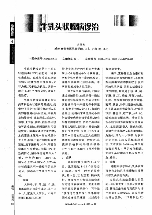 牛乳头状瘤病诊治