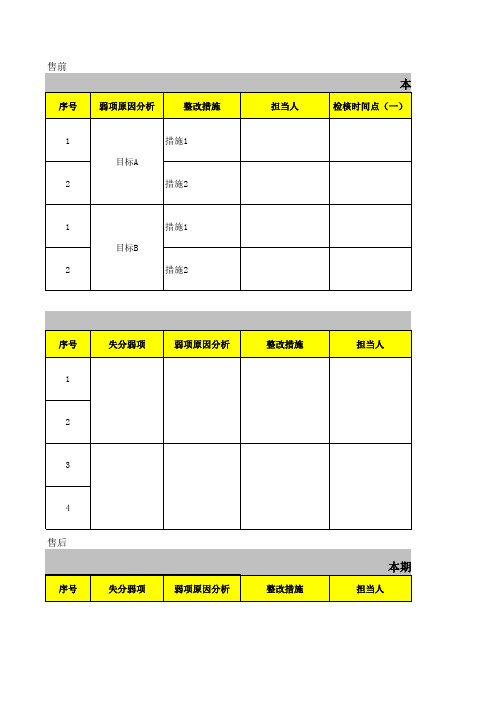 弱项改善分析表模版