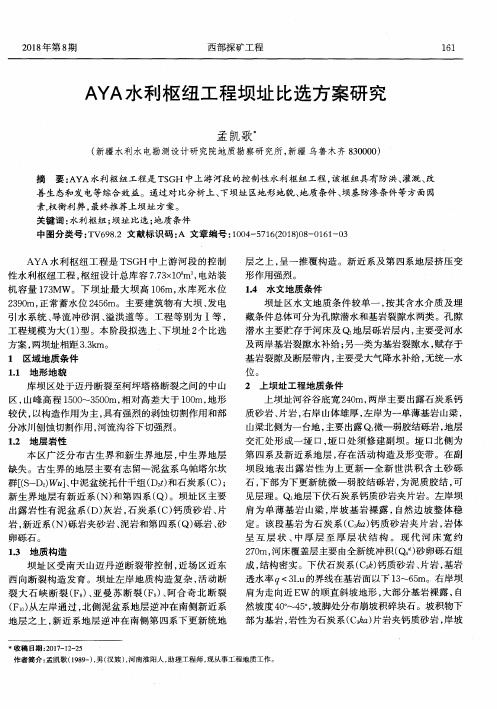 AYA水利枢纽工程坝址比选方案研究