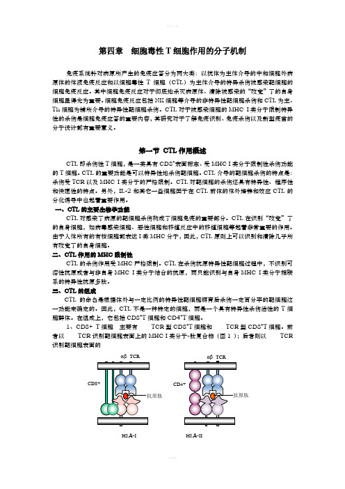 细胞毒性T细胞作用的分子机制