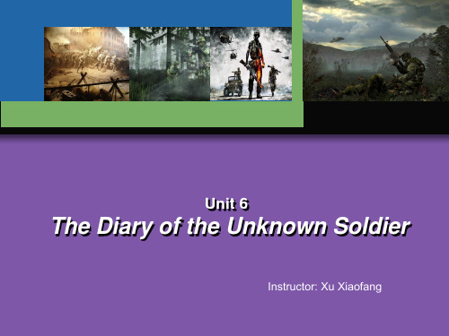 Unit 6 the diary of an unknown soldierPPT课件