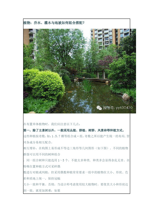 植物：乔木、灌木与地被如何组合搭配？