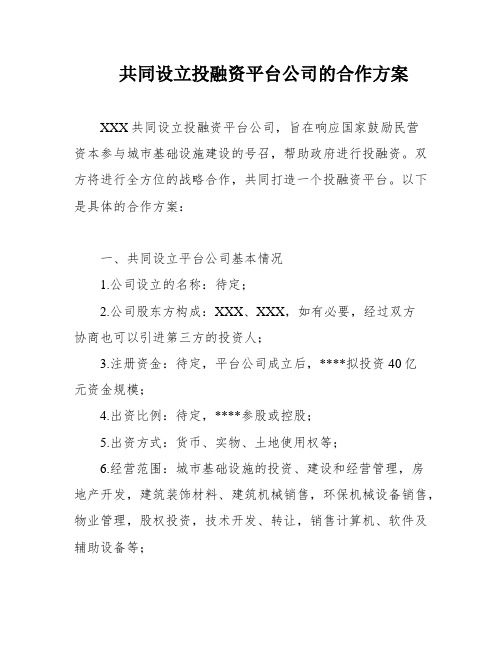 共同设立投融资平台公司的合作方案