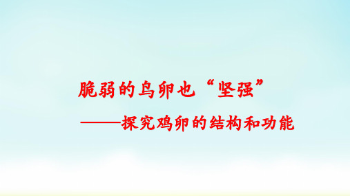 人教版八年级下册生物7.1.4探究鸡卵的结构和功能说课课件