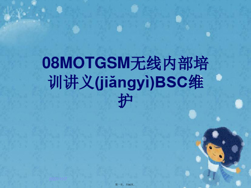 08MOTGSM无线内部培训讲义BSC维护