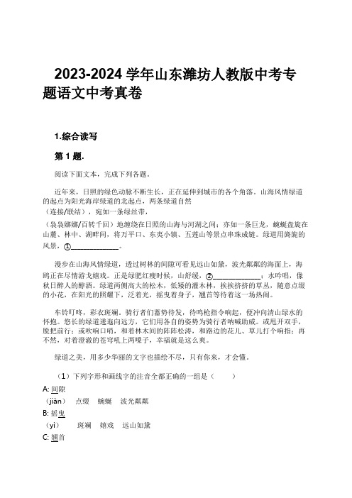 2023-2024学年山东潍坊人教版中考专题语文中考真卷习题及解析