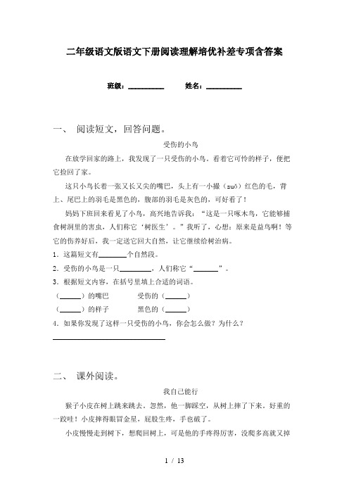 二年级语文版语文下册阅读理解培优补差专项含答案