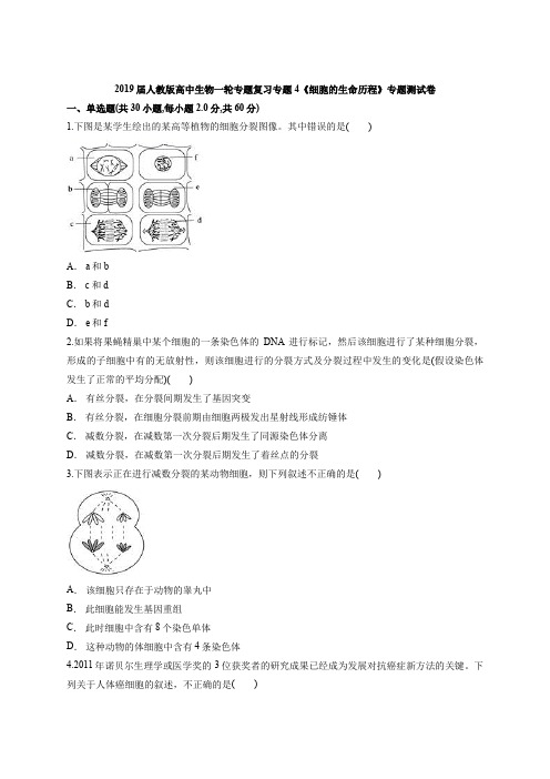 2019届人教版高中生物一轮专题复习专题4《细胞的生命历程》专题测试卷(解析版)