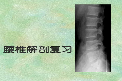 腰间盘突出症ppt课件