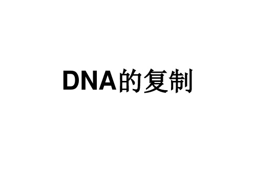 人教版 高一生物 必修二 第三章 第三节 DNA的复制