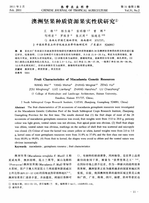 澳洲坚果种质资源果实性状研究