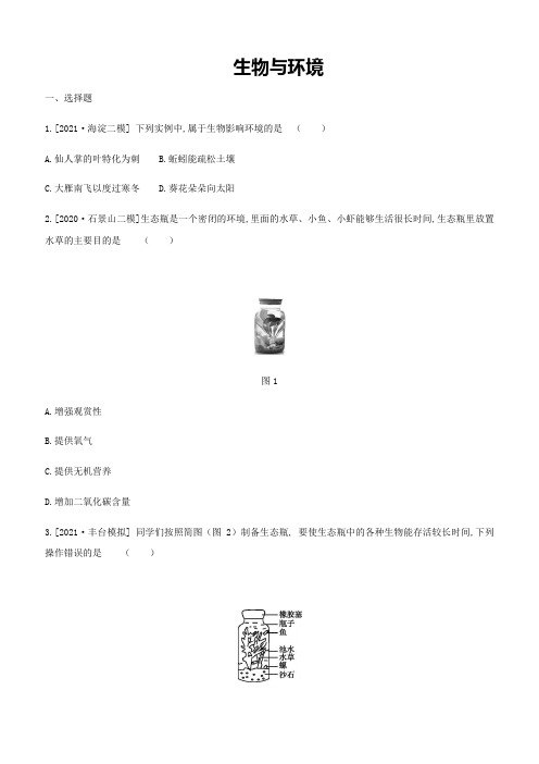 北京市中考生物过关训练：生物与环境