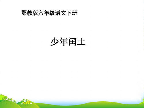 六年级语文下册 少年闰土4课件 鄂教