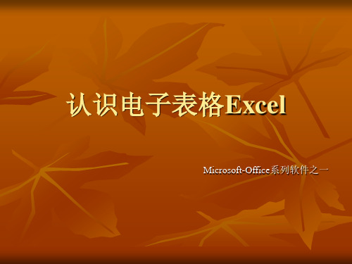 认识电子表格Excel