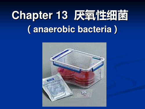 (人卫7版微生物)13 厌氧性细菌