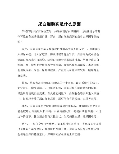 尿白细胞高是什么原因