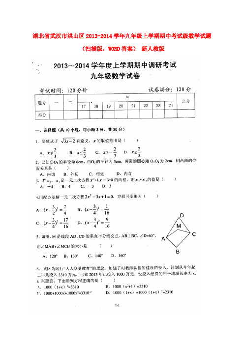 湖北省武汉市洪山区2013-2014学年九年级数学上学期期中级试题(扫描版)新人教版