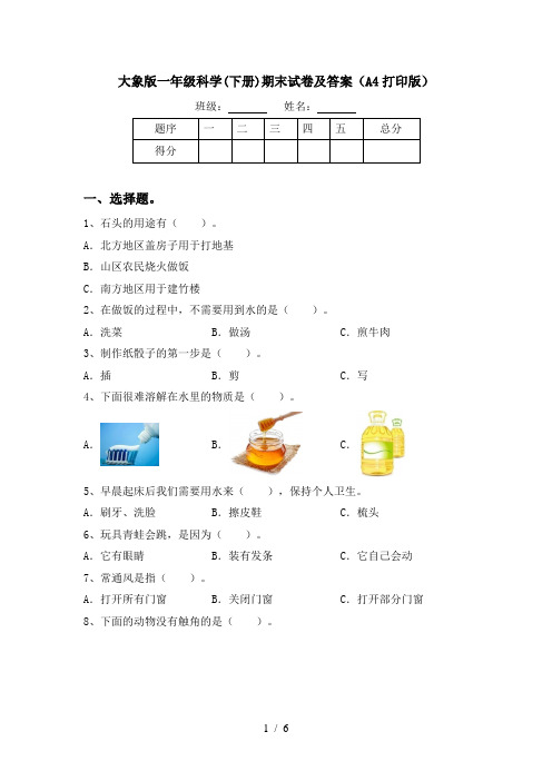 大象版一年级科学(下册)期末试卷及答案(A4打印版)