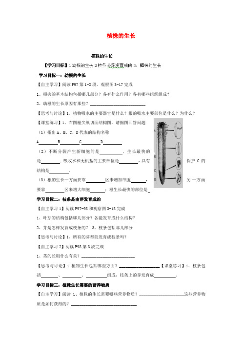 山东省肥城市王庄镇初级中学七年级生物上册 植株的生长导学案(无答案) 新人教版