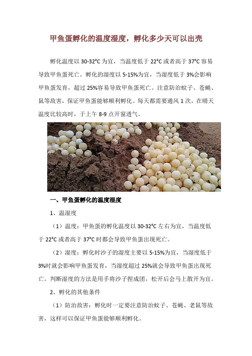 甲鱼蛋孵化的温度湿度,孵化多少天可以出壳