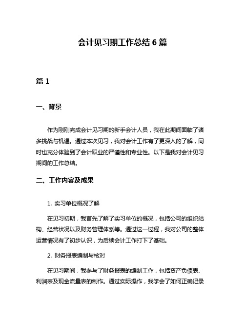 会计见习期工作总结6篇