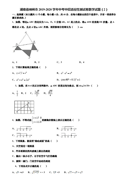 湖南省郴州市2019-2020学年中考中招适应性测试卷数学试题(2)含解析