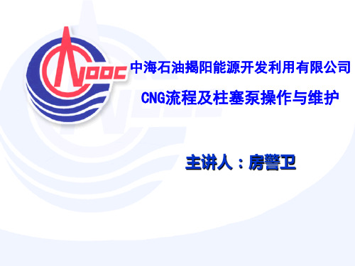 CNG流程及柱塞泵操作与维护培训