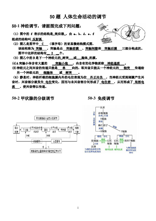 2020云南省学业水平考试-生命活动的调节作用