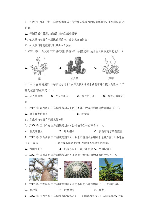 沙漠里的植物(真题练习)三年级下册科学苏教版