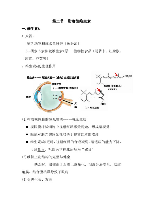 助产专业《脂溶性维生素》