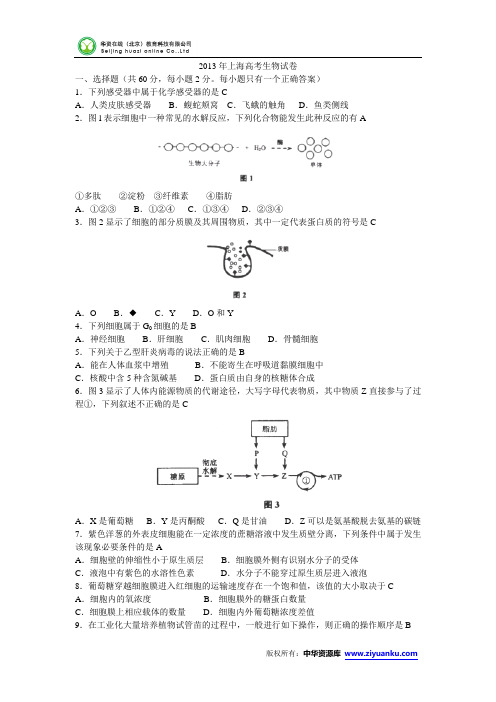 2013年高考真题——生物(上海卷) Word版含答案