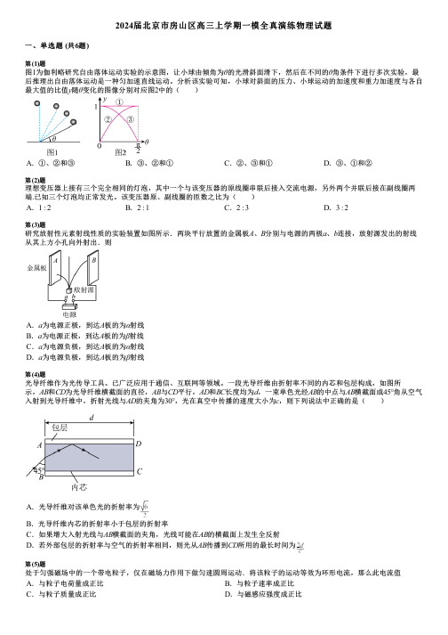 2024届北京市房山区高三上学期一模全真演练物理试题