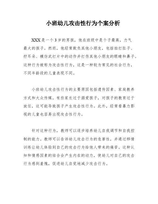 小班幼儿攻击性行为个案分析