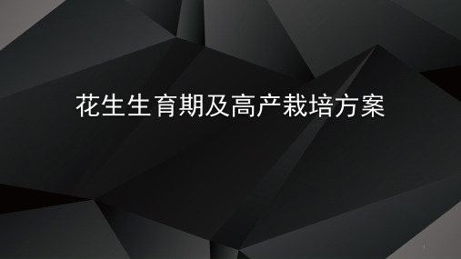 花生高产栽培管理技术PPT课件