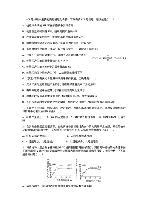 高中生物关于光合和呼吸作用的高考题