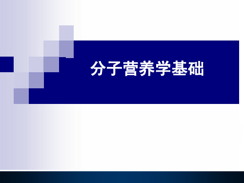 食品营养与健康 分子营养学